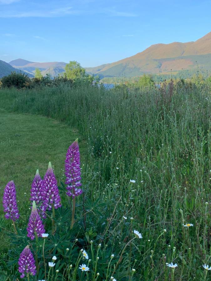 Ceo Mara Croft B&B & 2 Luxury Cabins Taynuilt Exterior foto