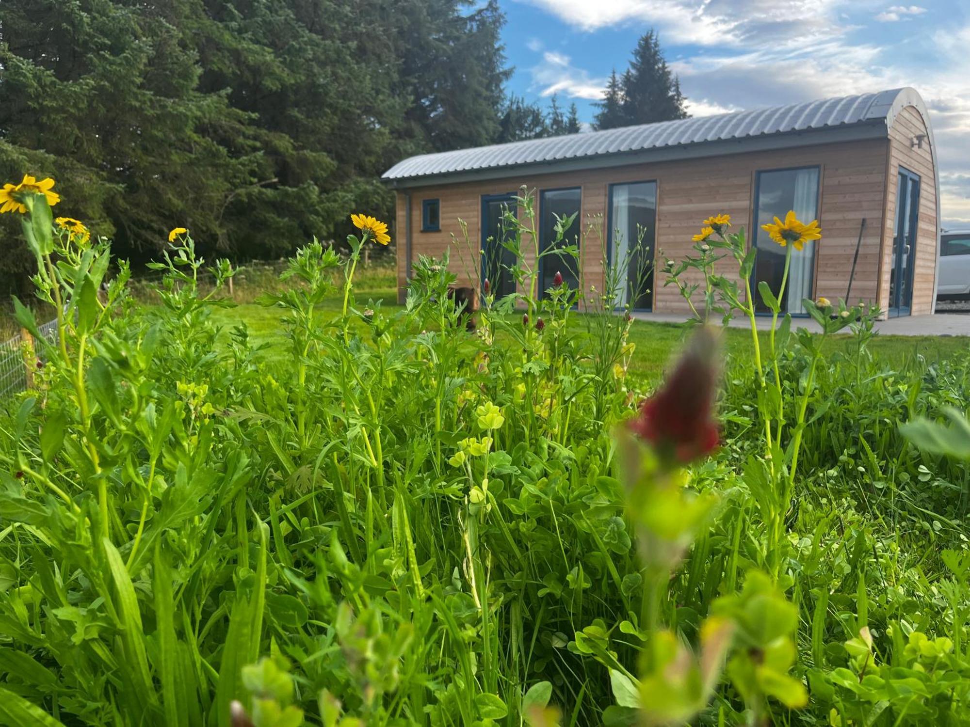 Ceo Mara Croft B&B & 2 Luxury Cabins Taynuilt Exterior foto