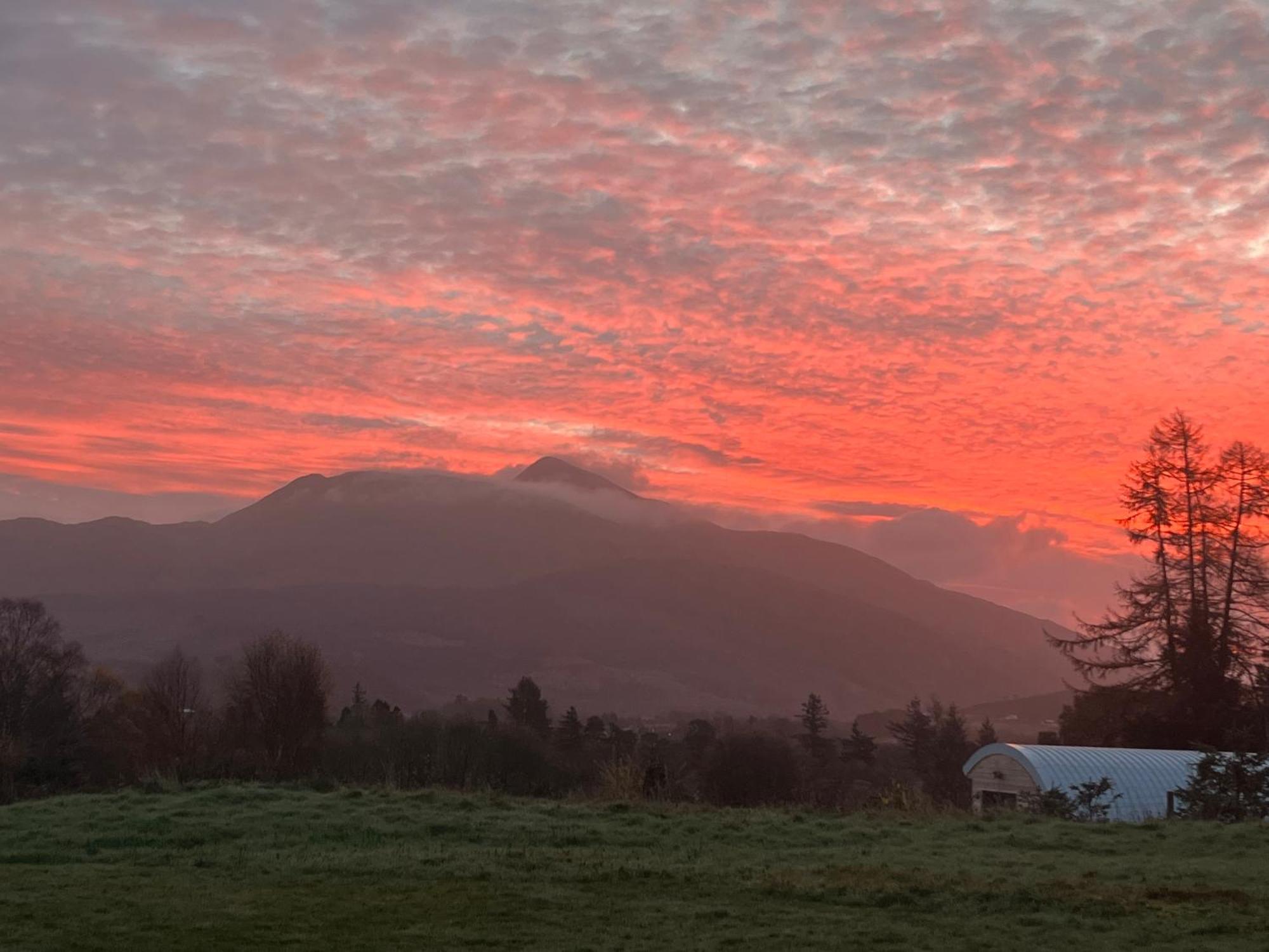 Ceo Mara Croft B&B & 2 Luxury Cabins Taynuilt Exterior foto