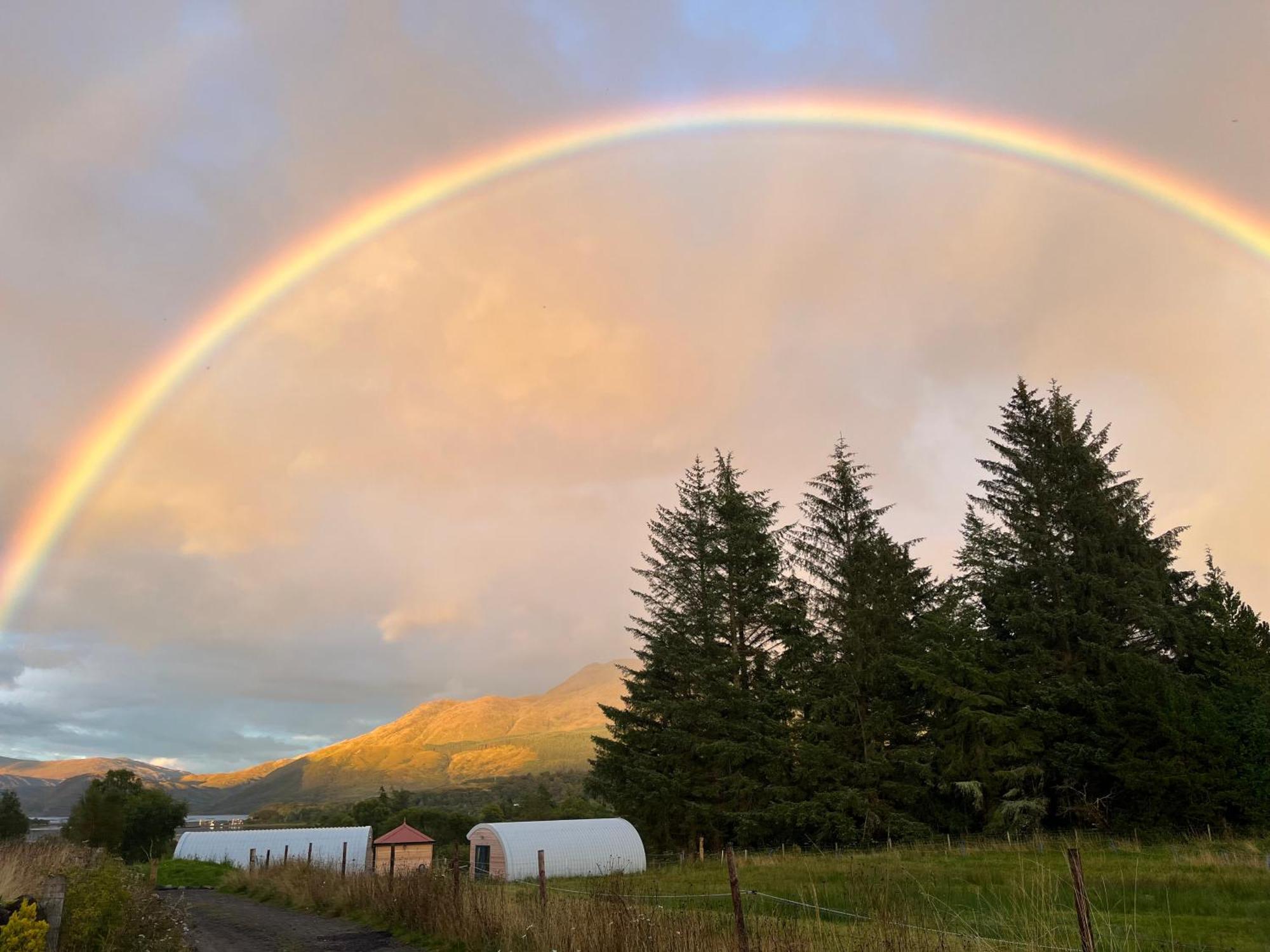 Ceo Mara Croft B&B & 2 Luxury Cabins Taynuilt Exterior foto