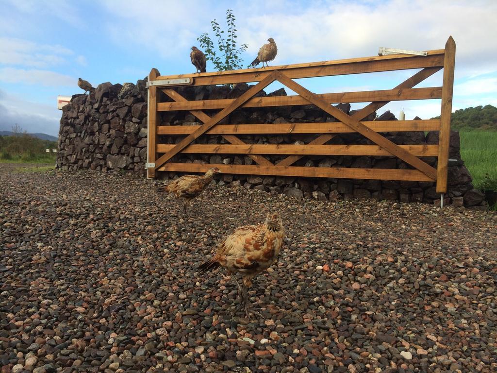 Ceo Mara Croft B&B & 2 Luxury Cabins Taynuilt Exterior foto